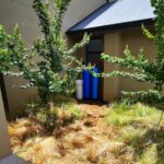 IMG_20221215_121125_edit_315680949935683