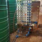 IMG_20240726_124325_edit_315206635138880